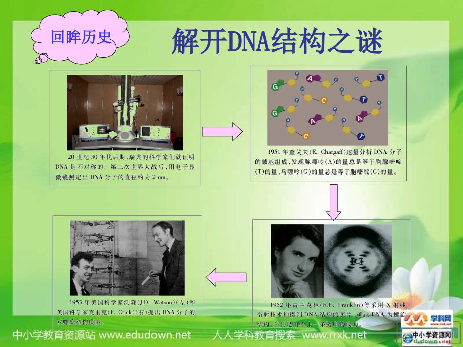 苏教版生物必修2第二节《 dna的结构和dna的复制》课件之二_第2页