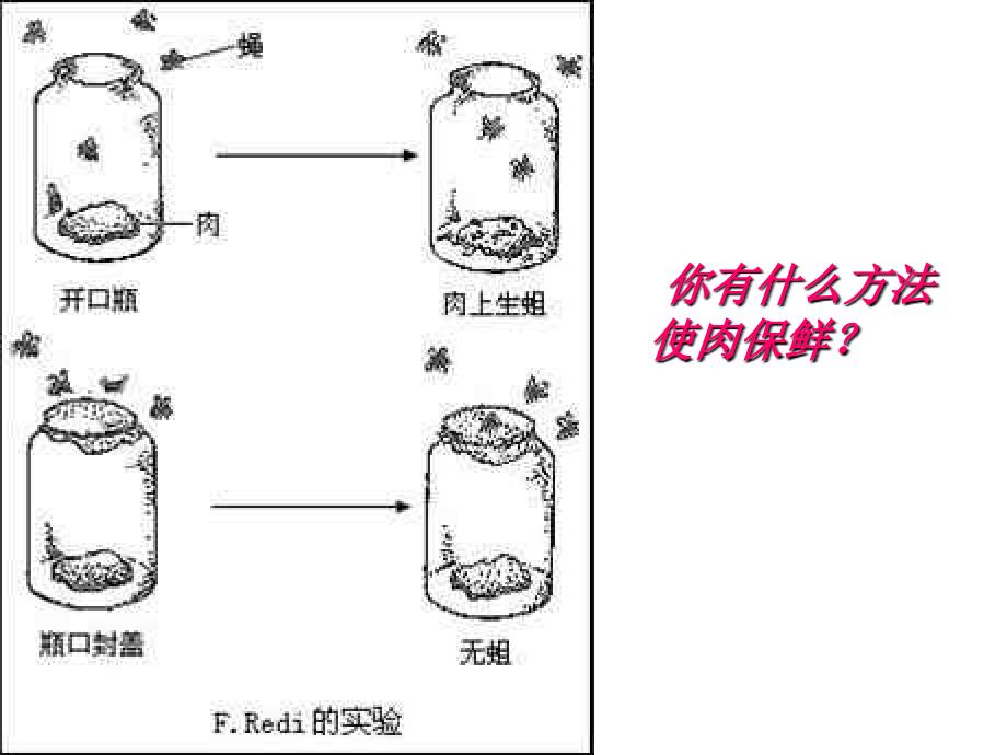 科学探究：微生物  (浙教版)ppt培训课件_第3页