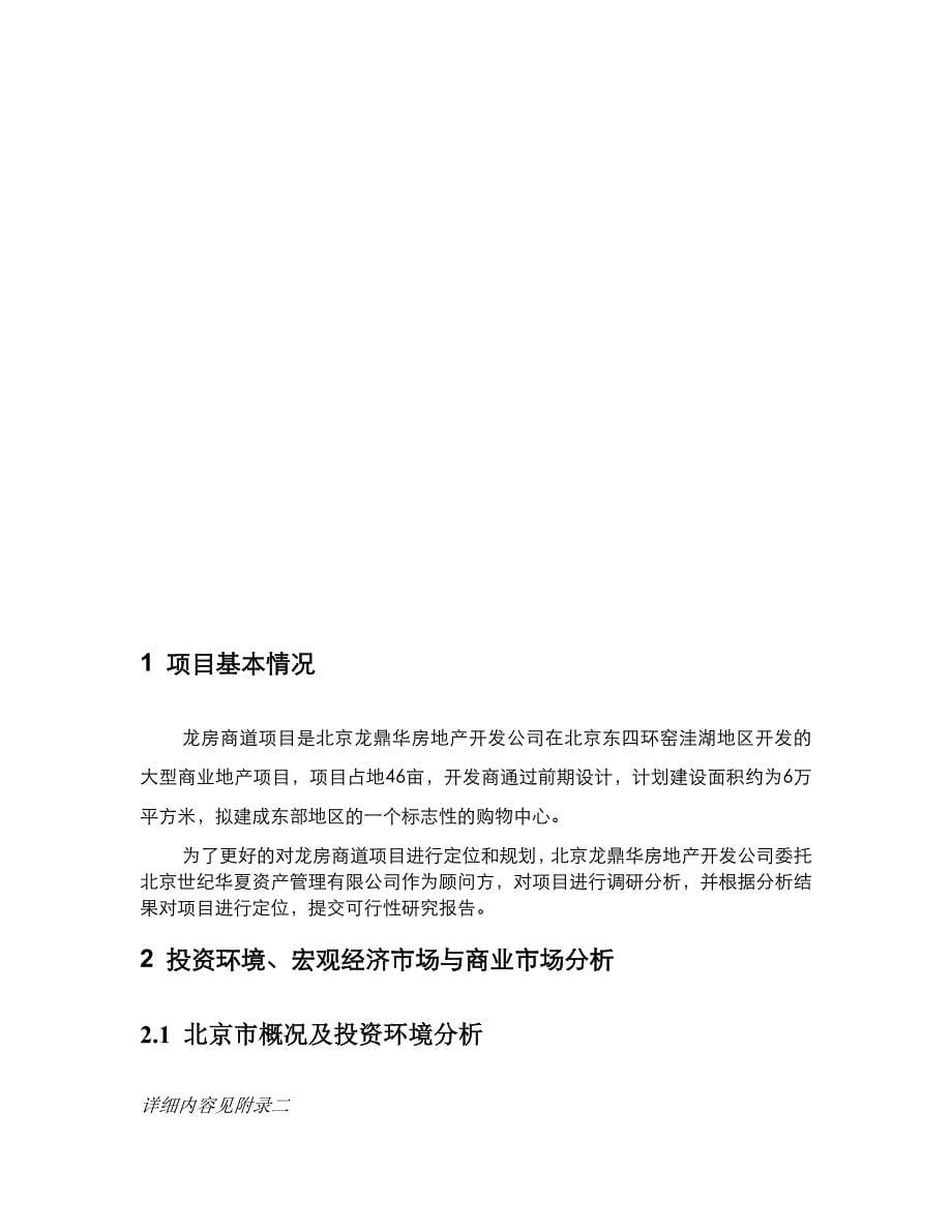 北京龙房商道商业街项目可行性研究报告_第5页