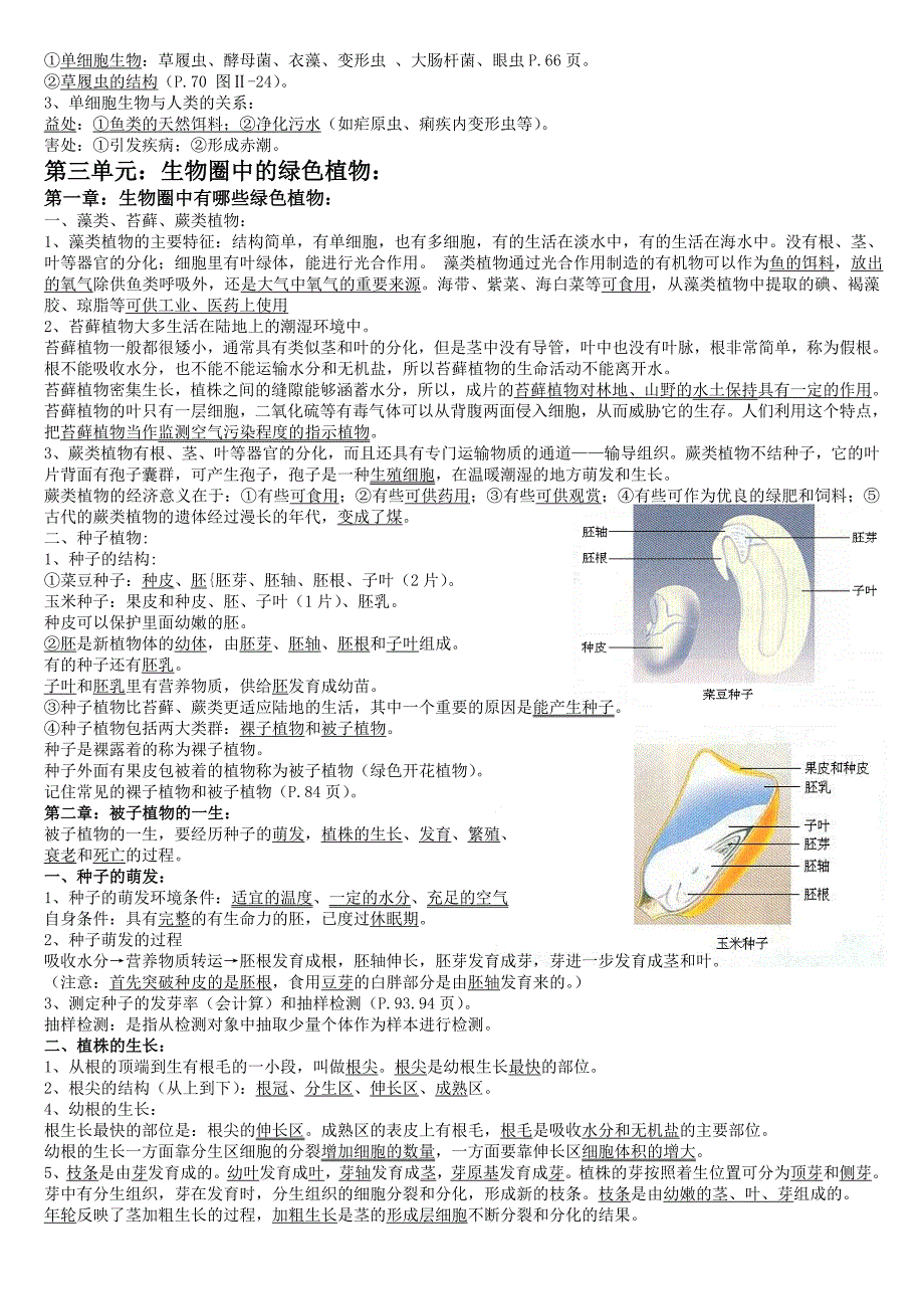 人教版生物七年级上册复习资料。_第4页