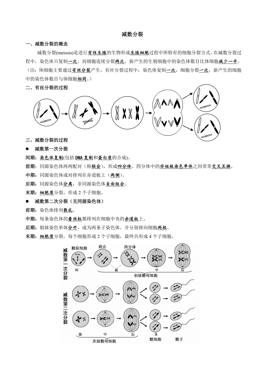 减数分裂知识点归纳及试题_第1页