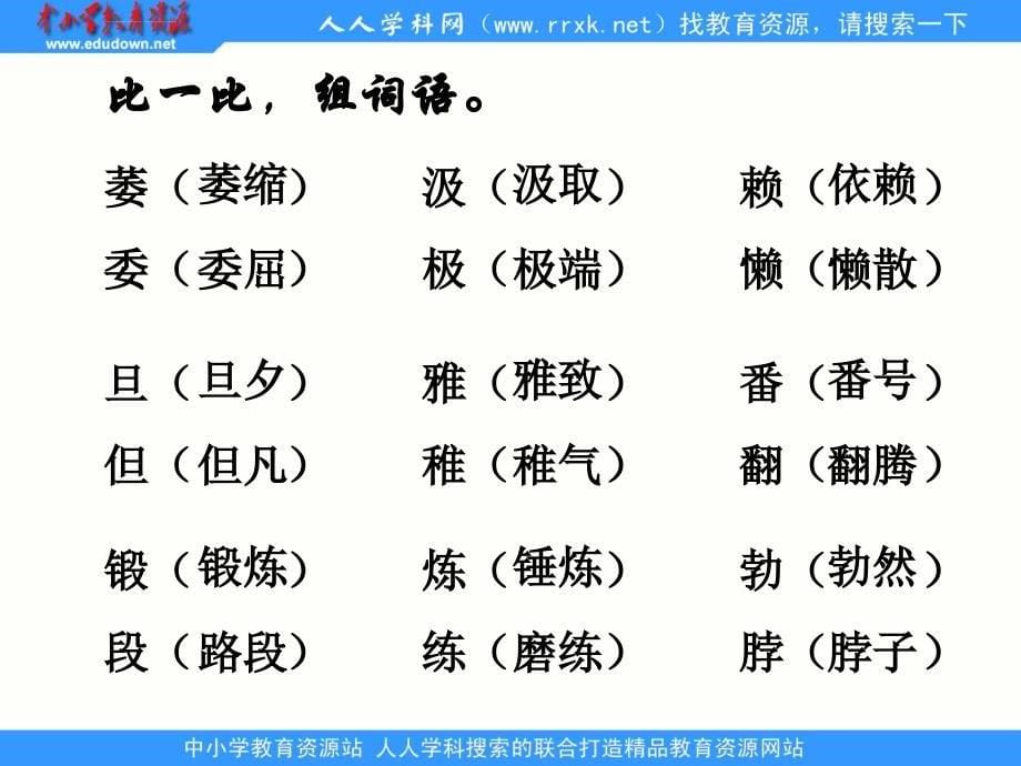 鲁教版五年级下册《桃花心木》课件_第5页