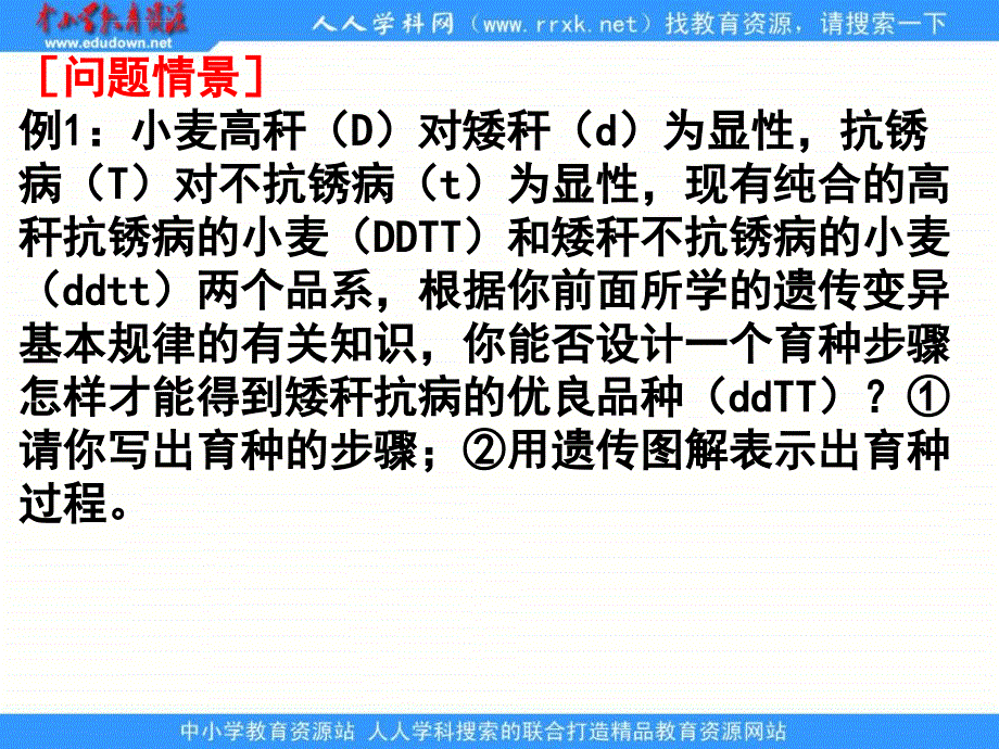 浙科版生物必修2第二节《 生物变异在生产上的应用》课件_第2页