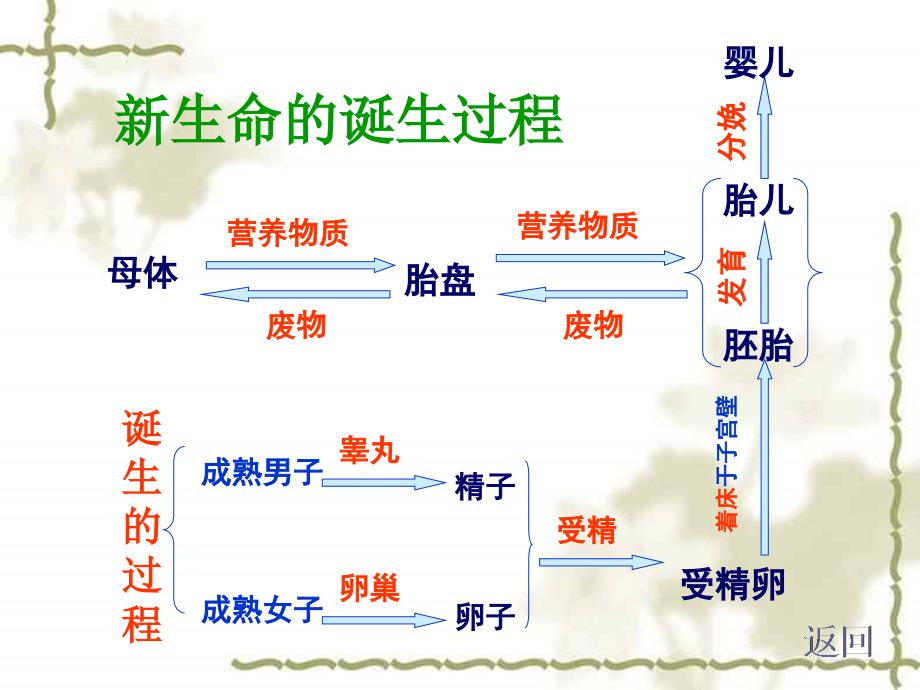 种子的萌发  (浙教版)ppt培训课件_第2页