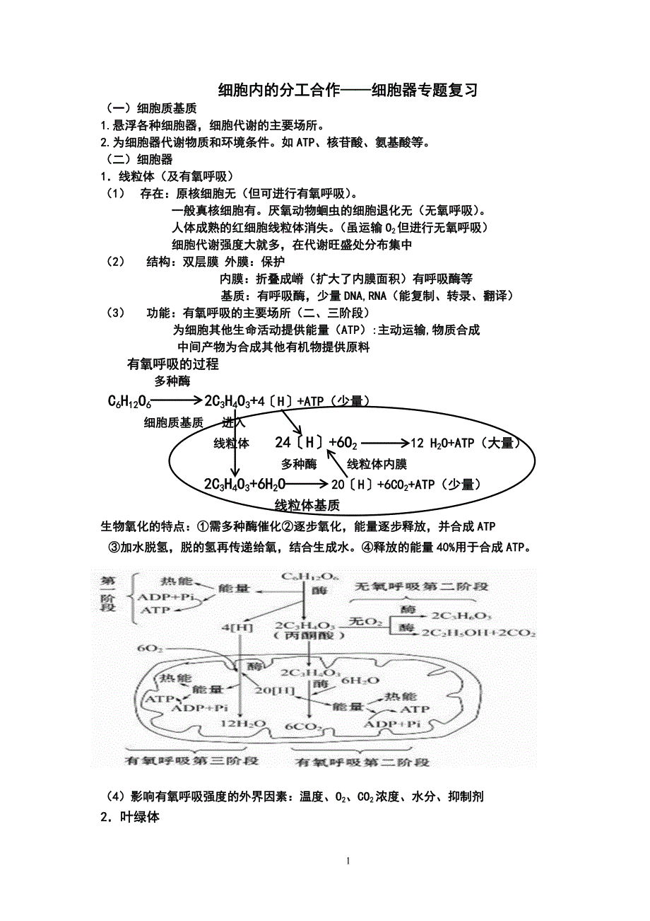 分工合作——细胞器专题复习(姜)_第1页