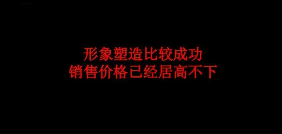 万科金色城市房地产项目营销四季度策略探讨_第5页