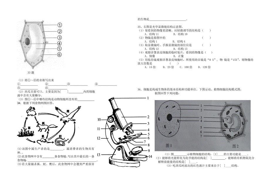 七年级下册填空题_第5页