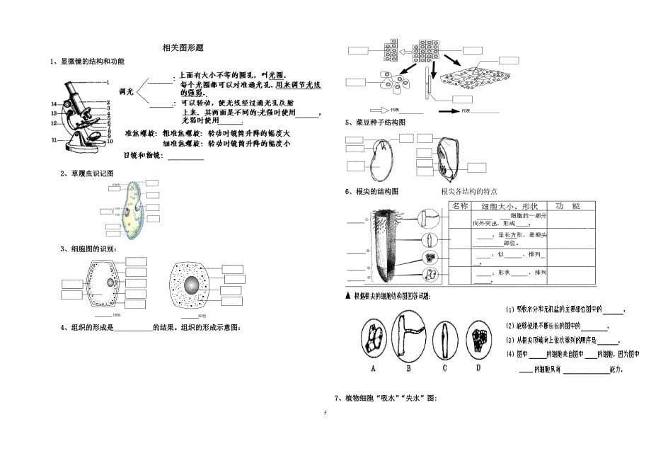 七年级生物复习资料_第5页