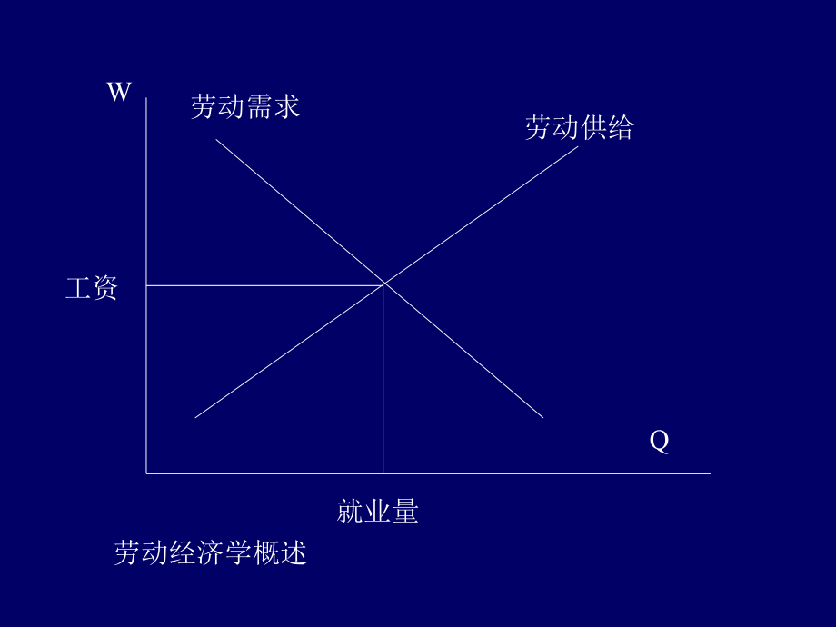 人力资源管理之劳动经济学_第2页