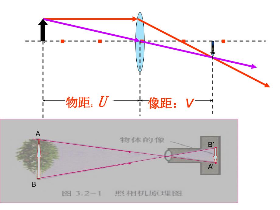 人教版八年级物理眼睛和眼镜课件_第3页