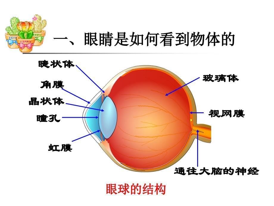 人教版八年级物理眼睛和眼镜课件_第5页