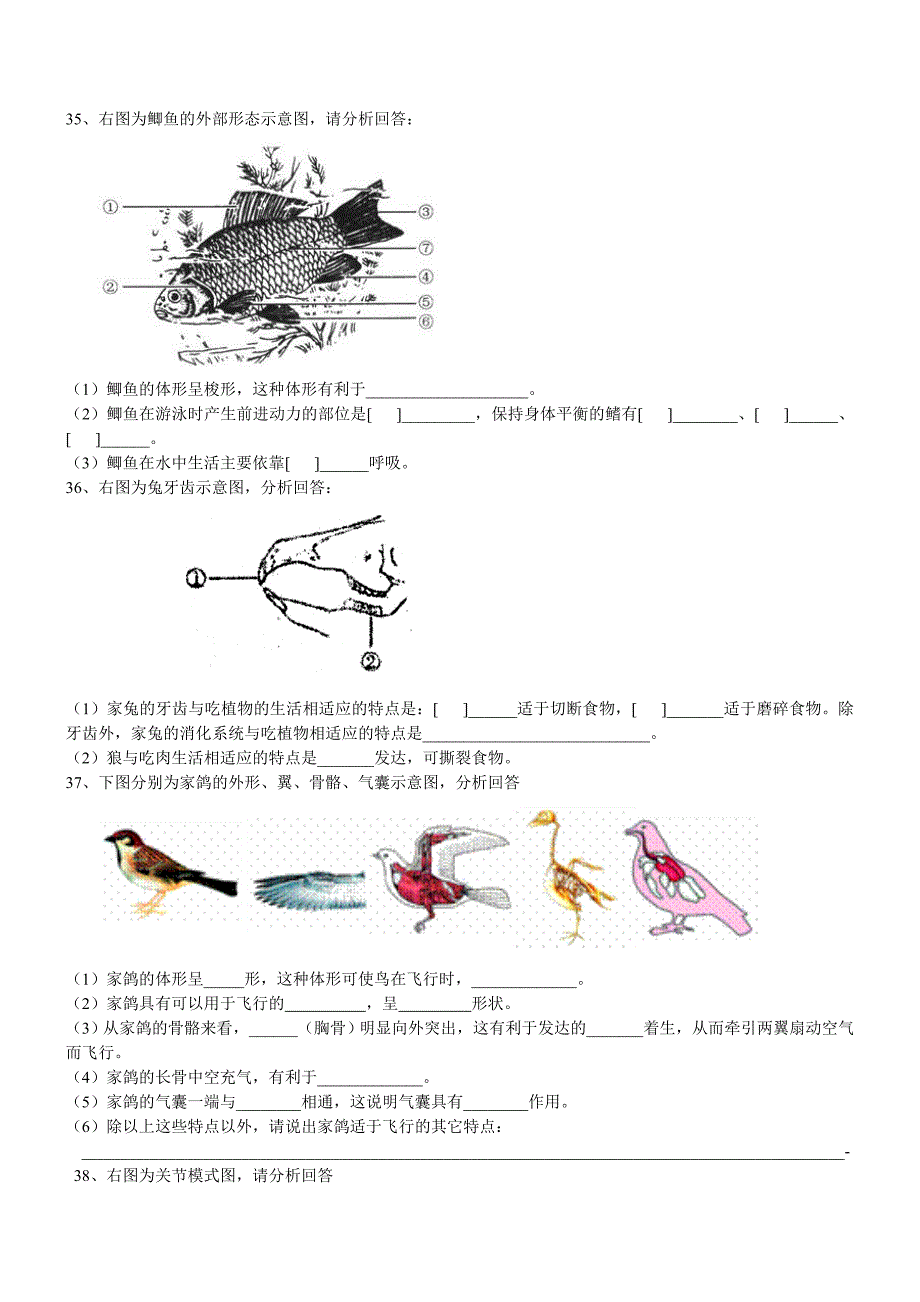 初三生物期中试题_第3页