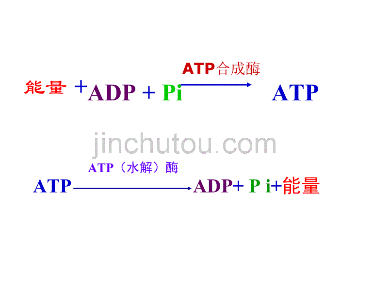 高一生物细胞呼吸5_第2页