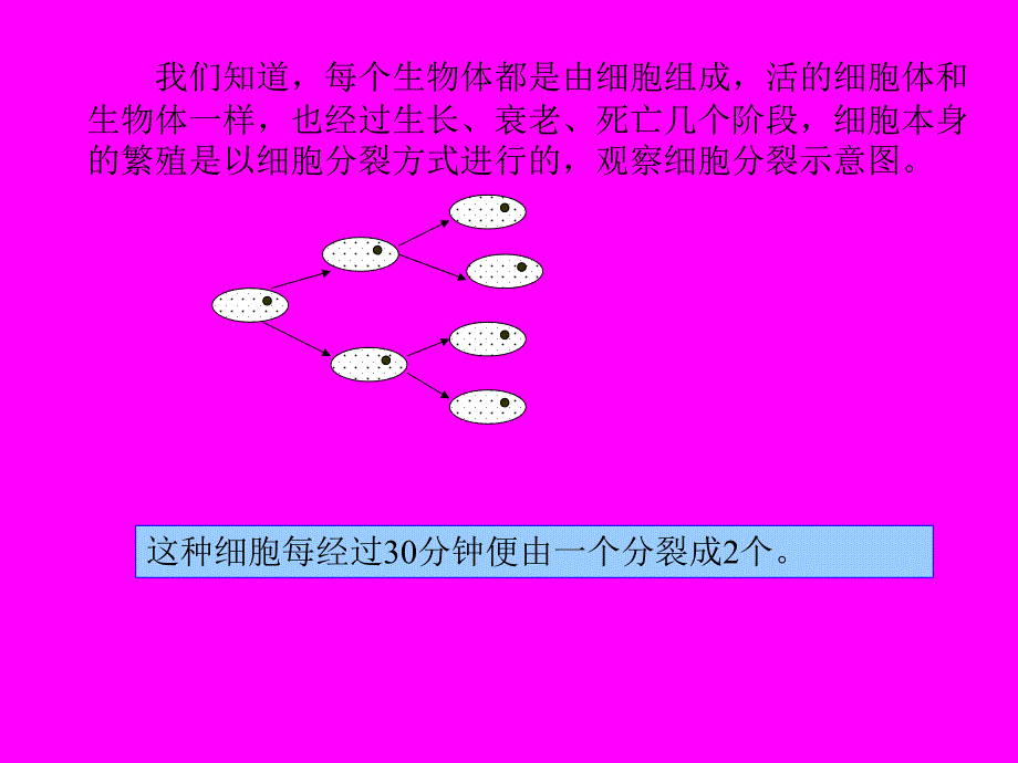 七年级数学有理数的乘方2_第2页