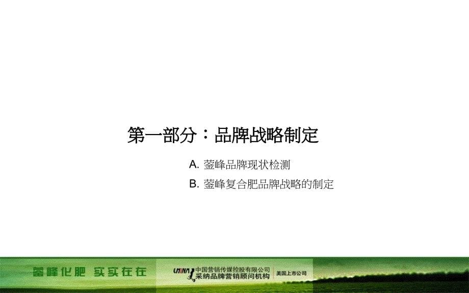 2008年四川蓥峰化肥品牌战略规划方案【精品策划案98页】_第5页