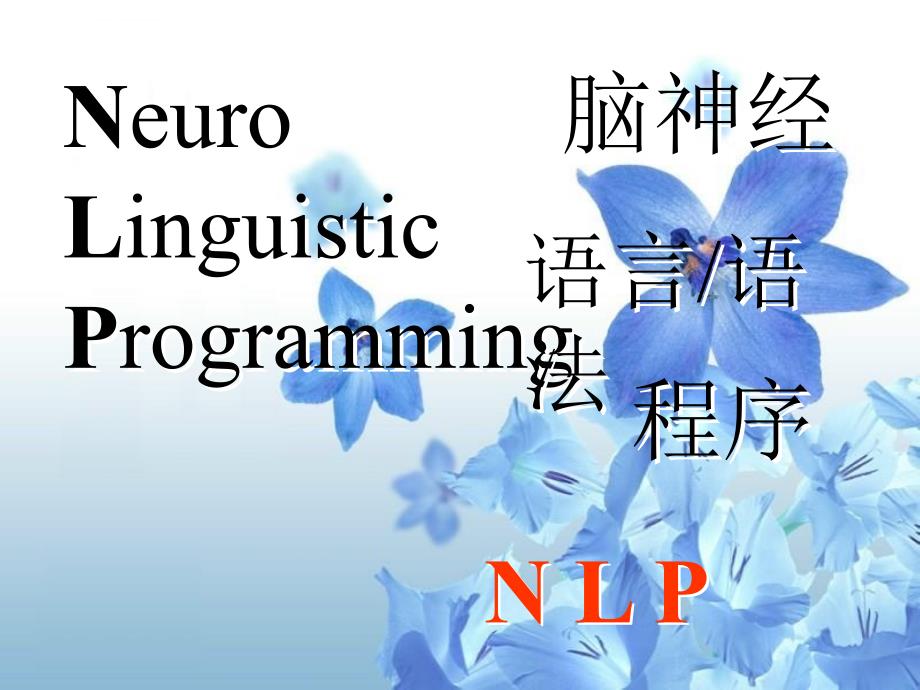 nlp技术与简快疗法ppt培训课件_第2页