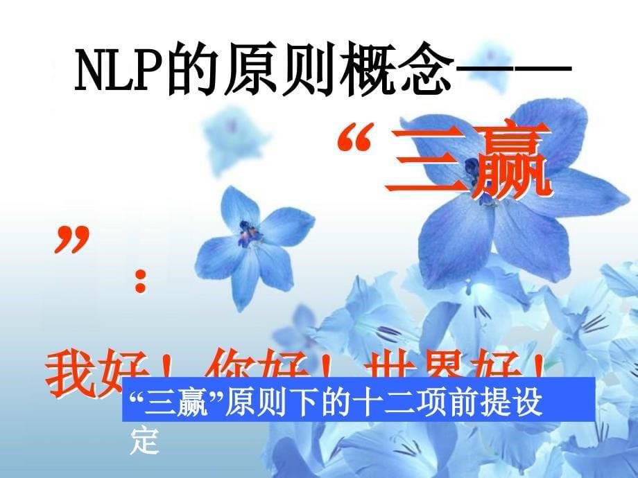 nlp技术与简快疗法ppt培训课件_第5页