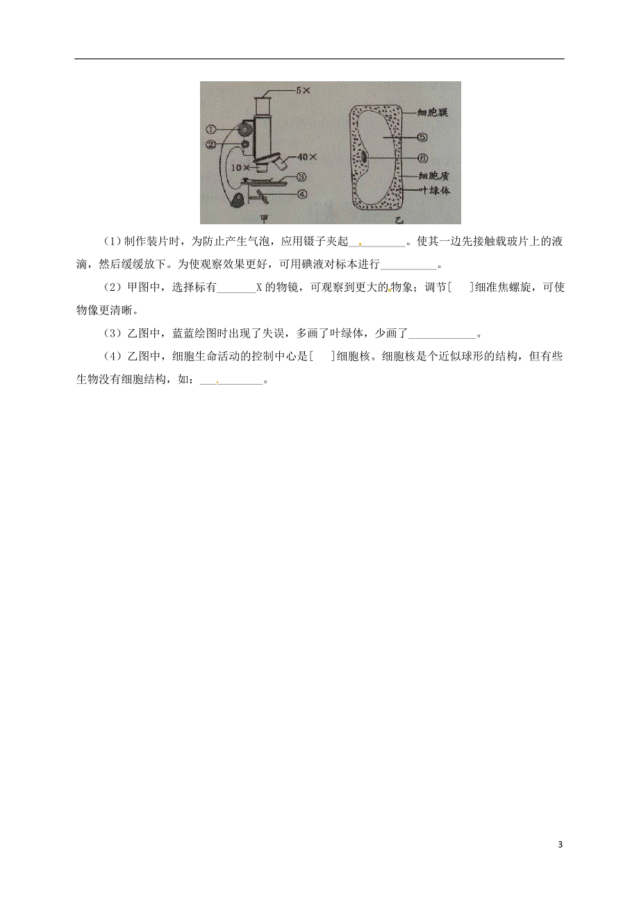 七年级生物上册2.3.1细胞的基本结构和功能同步练习2新版北师大版_第3页