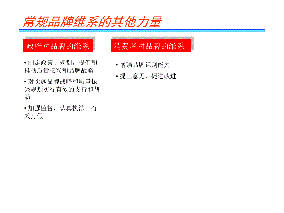 品牌维系与保护_第4页