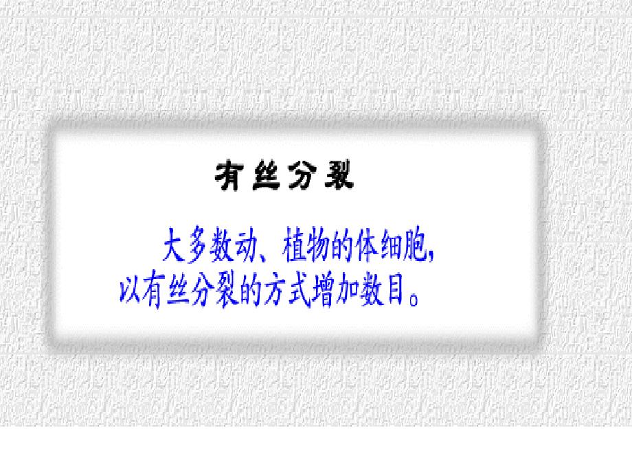 减数分裂和有性生殖胞的形成ppt培训课件_第3页