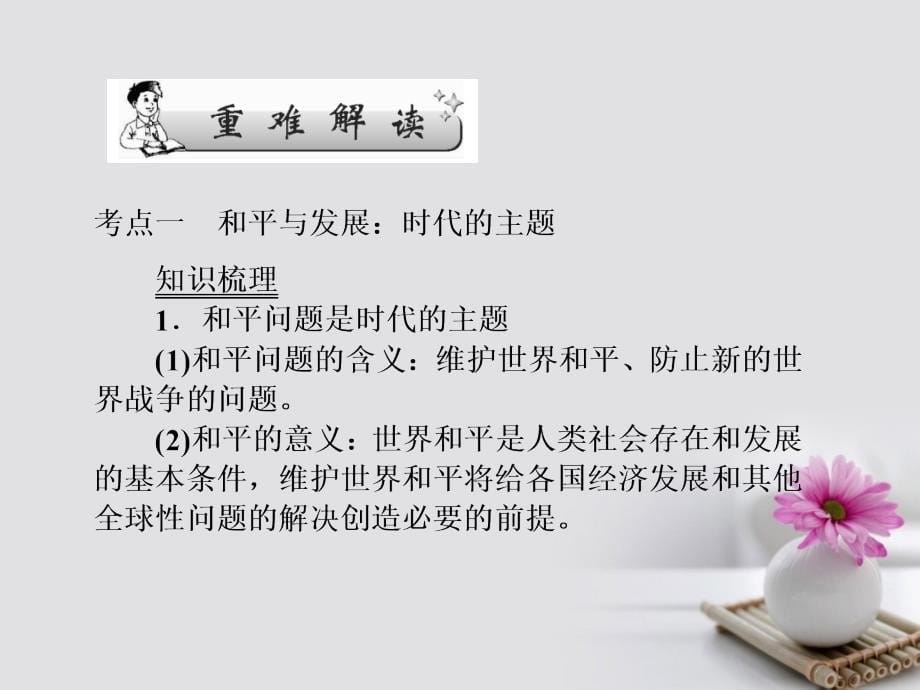 2018年高考政 治第一轮总复习 第4单元 当代国际社会 第9课 维护世界和平促进共同发展课件 新人教版必修2_第5页