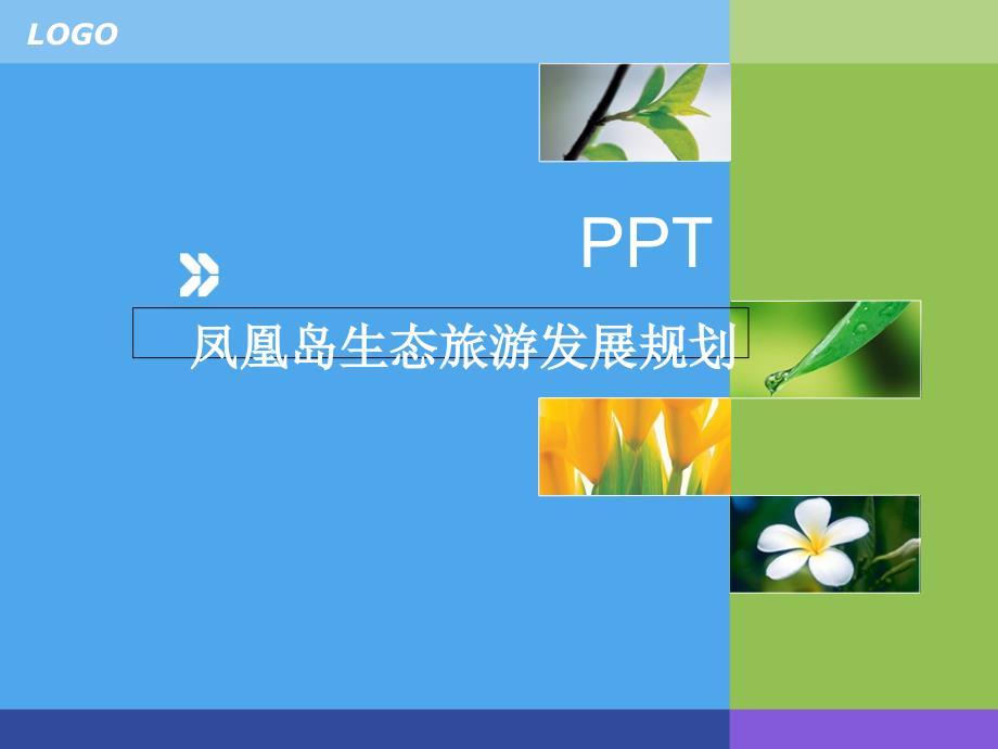凤凰岛的生态旅游发展规划ppt培训课件_第1页