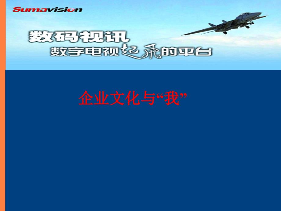 北京数码视讯科技股份有限公司企业文化与我(ppt39页)ppt培训课件_第1页