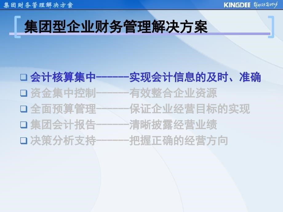 集团财务管理解决方案_第5页