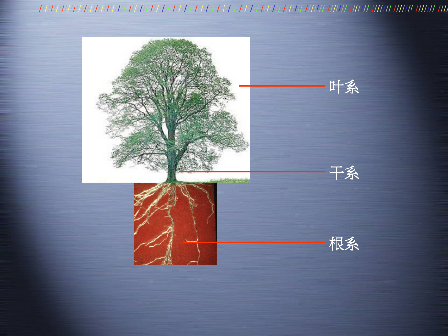 复合地产的植物性解构ppt培训课件_第3页