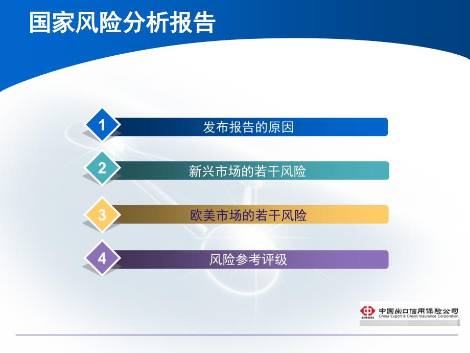 国家风险分析报告ppt培训课件_第4页