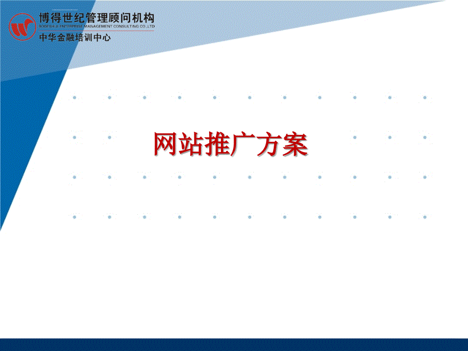 网站推广企业网络营销解决方案_第1页