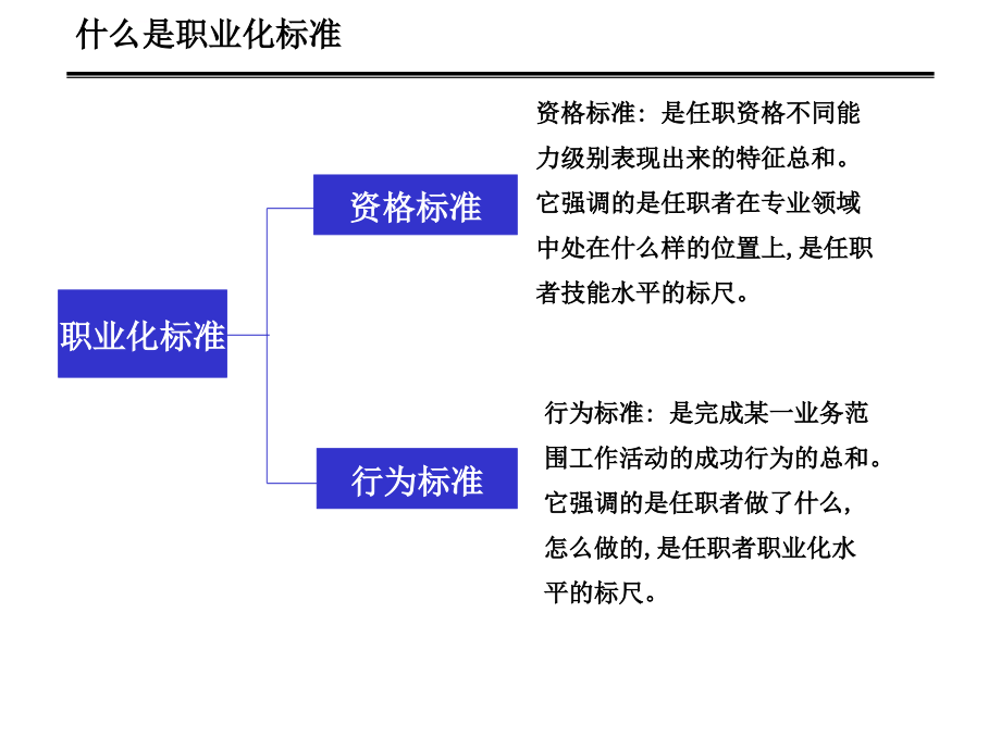 某公司职业化管理体系建设培训教材_第4页