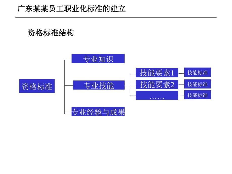 某公司职业化管理体系建设培训教材_第5页