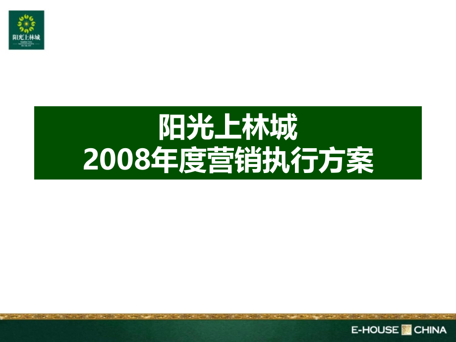 2008年全年营销企划执行方案_第1页