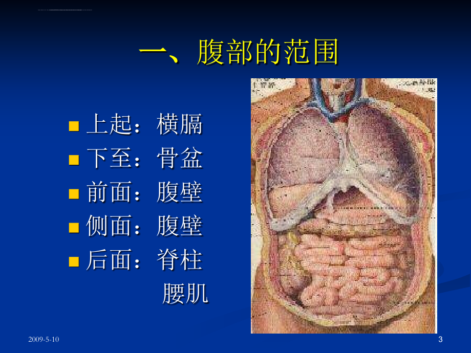 临床诊断学腹部体检7年制ppt培训课件_第3页