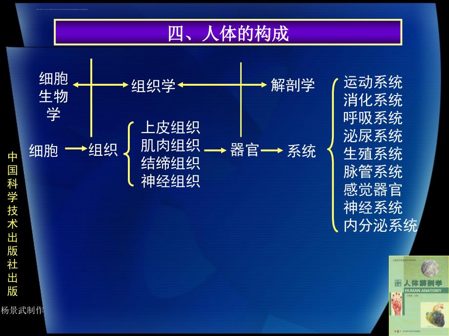 人体解剖学绪论ppt培训课件_第4页