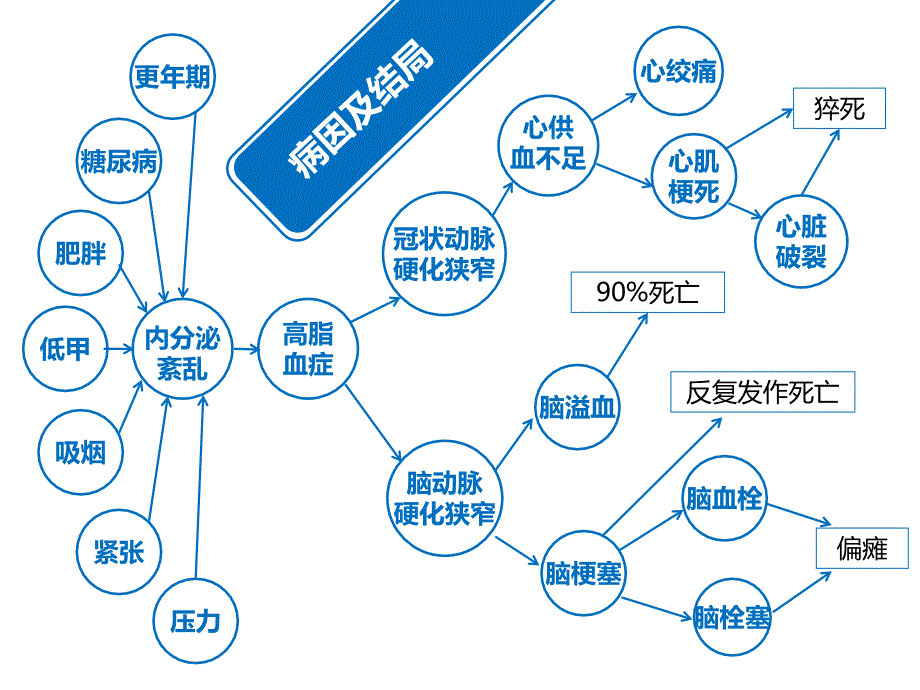 动脉硬化的动物模型教程ppt培训课件_第2页