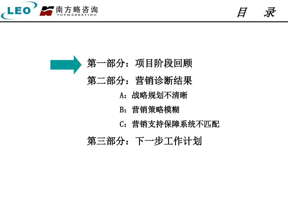 利欧股份营销管理咨询内部诊断报告_第2页