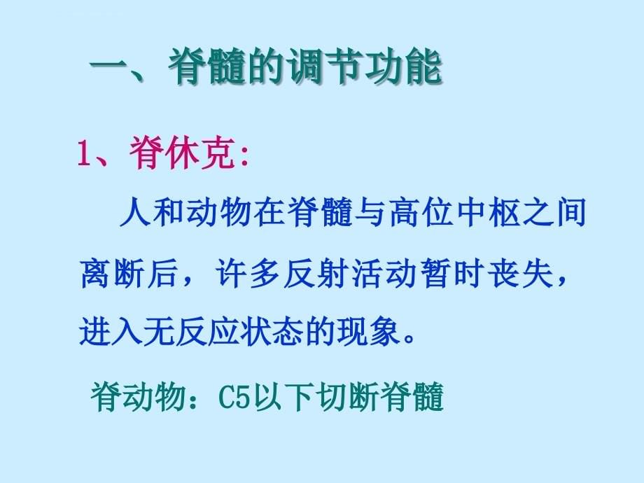 生理学06级 - 第九篇 神经系统-4神经系统对姿势和运动的调节ppt培训课件_第5页