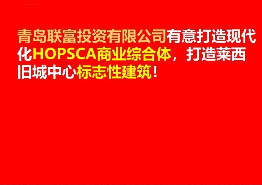 项目前期规划思路报告ppt培训课件_第5页