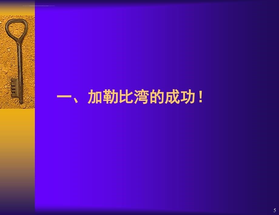 加勒比湾策划案ppt培训课件_第5页