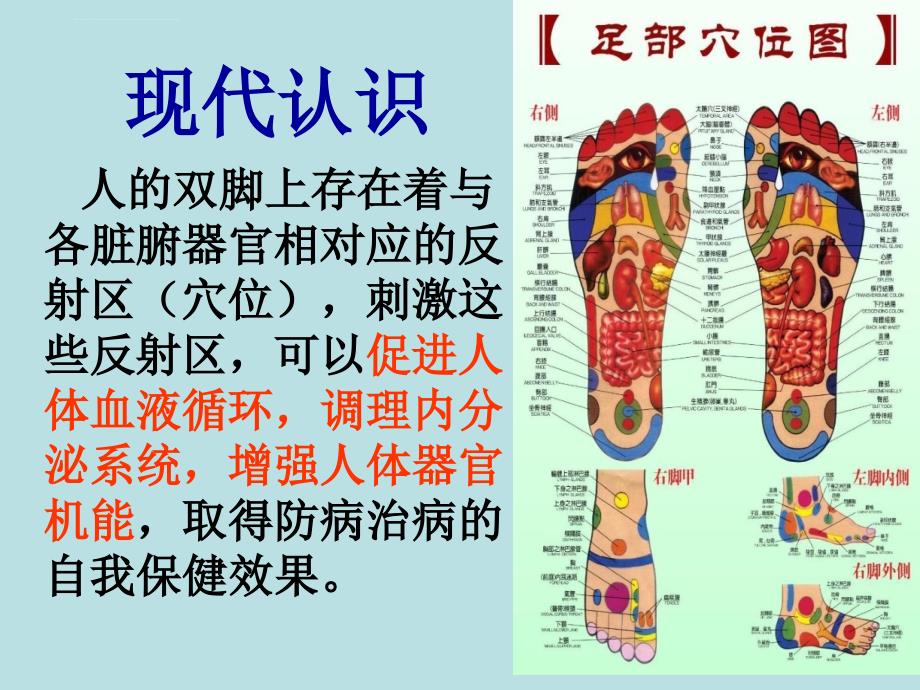 足部保健推拿ppt培训课件_第4页