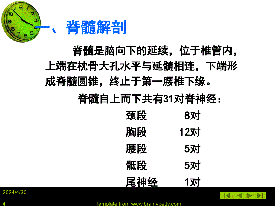 社区残疾人和精神障碍者的康复护理 -脊髓损伤ppt培训课件_第4页