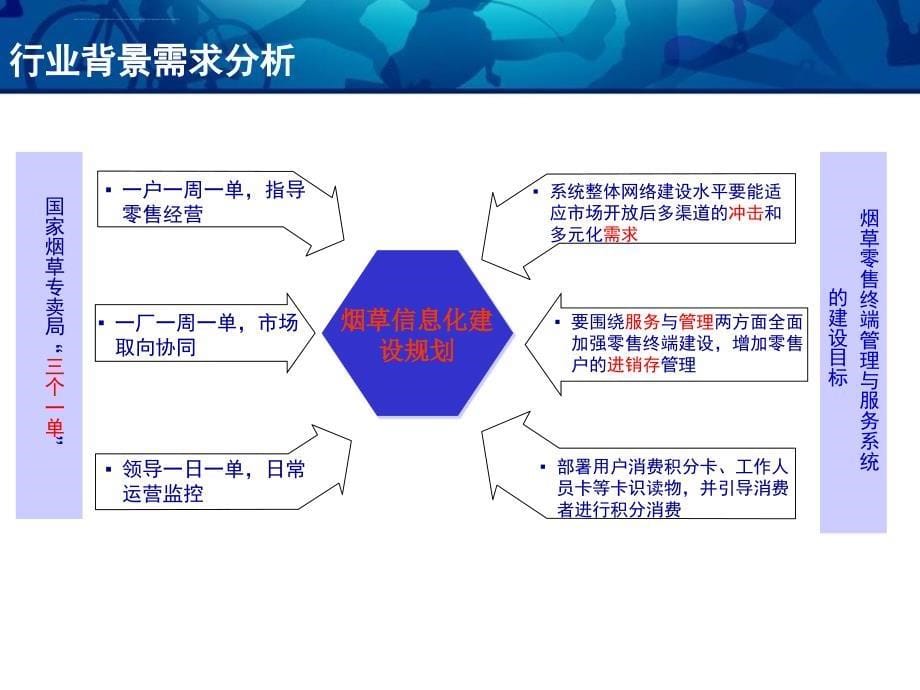 烟草信息化解决方案_第5页