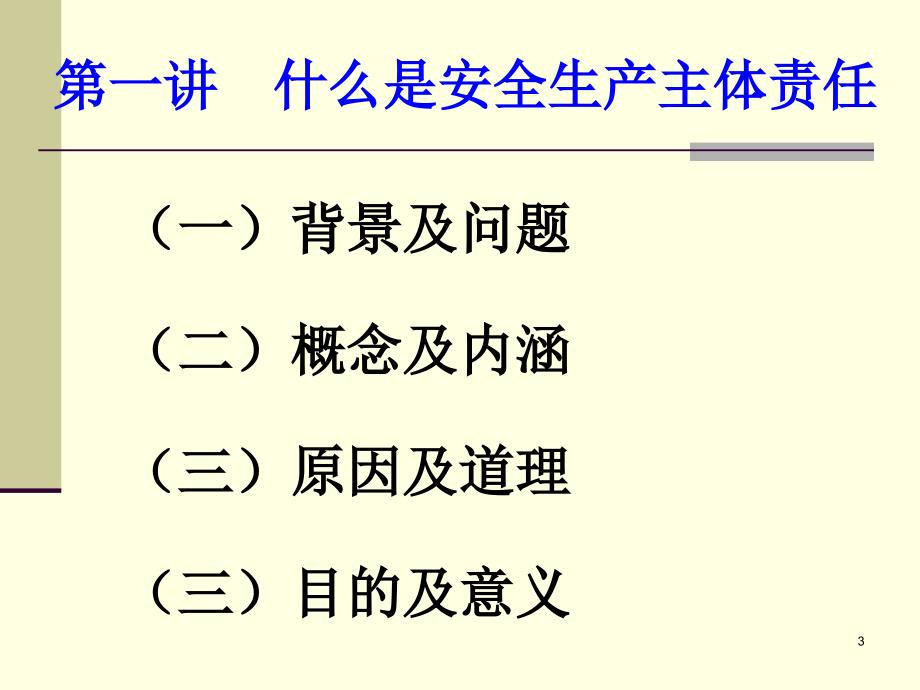 落实企业安全生产责任主体ppt培训课件_第3页