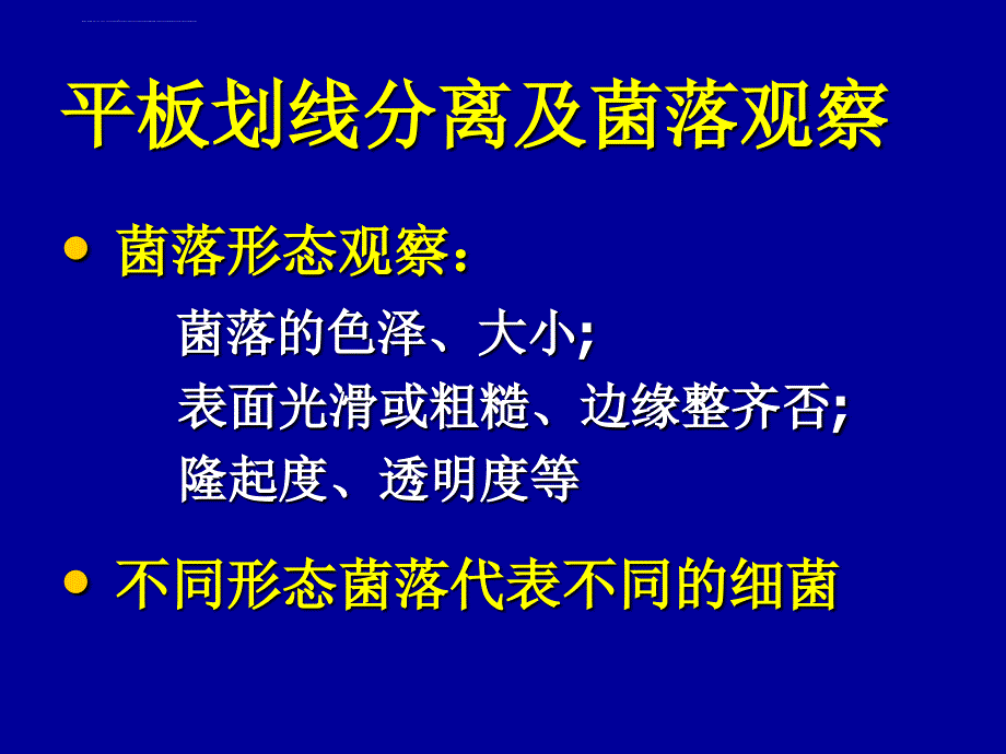 医学微生物实验 - 实验3ppt培训课件_第4页