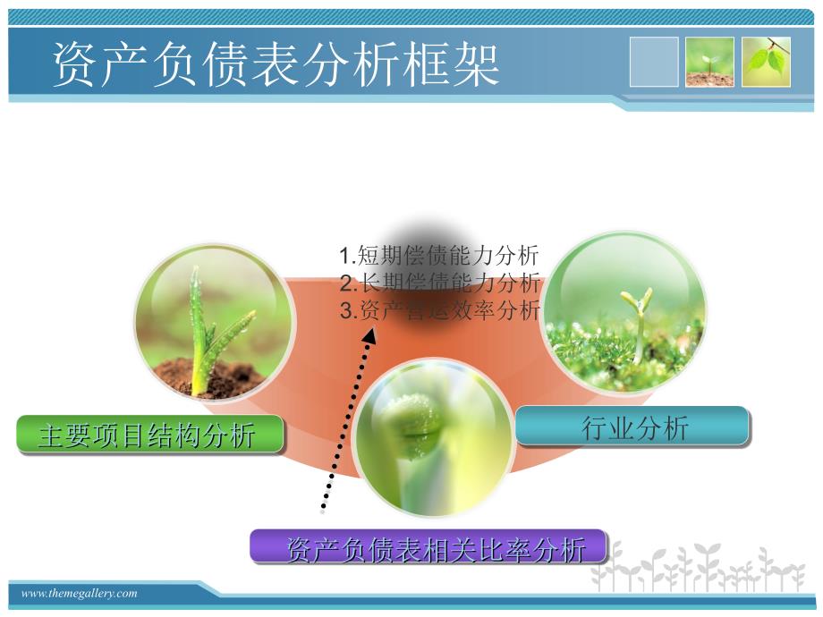 五粮液2007——2010年资产负债表分析_第4页