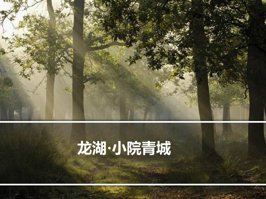成都龙湖小院青城项目介绍_103页生态旅游度假_总体规划_第1页
