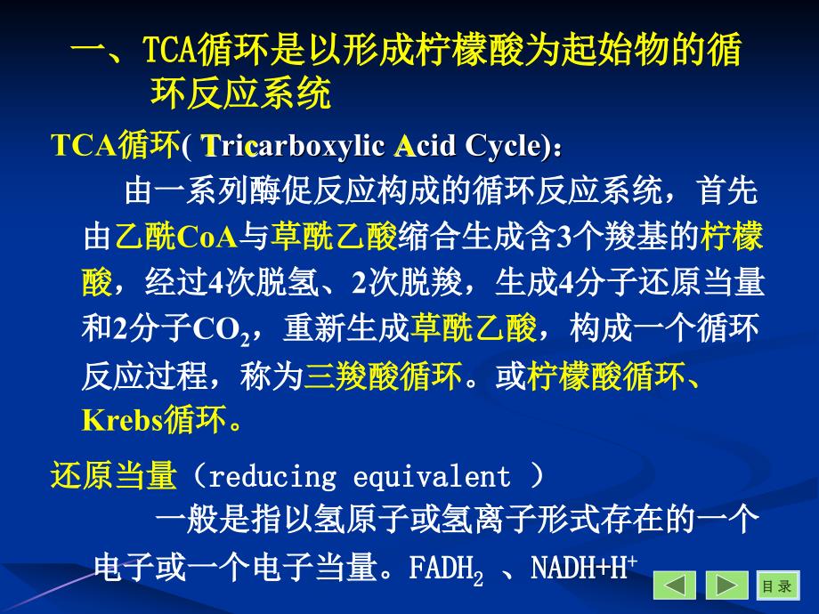 生物化学 - 第09章 三羧酸循环（07级）ppt培训课件_第4页