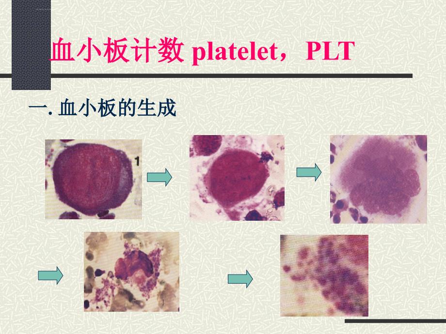 血小板检验ppt培训课件_第1页